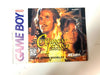 RARE! Cutthroat Island ORIGINAL NINTENDO GAMEBOY Instruction Manual Booklet Book