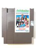 Anticipation (Nintendo Entertainment System, NES 1988) Cartridge Only Tested